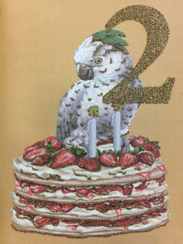 Kort - 2 year