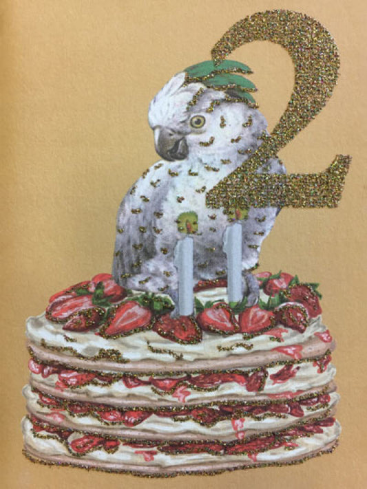 Kort - 2 year