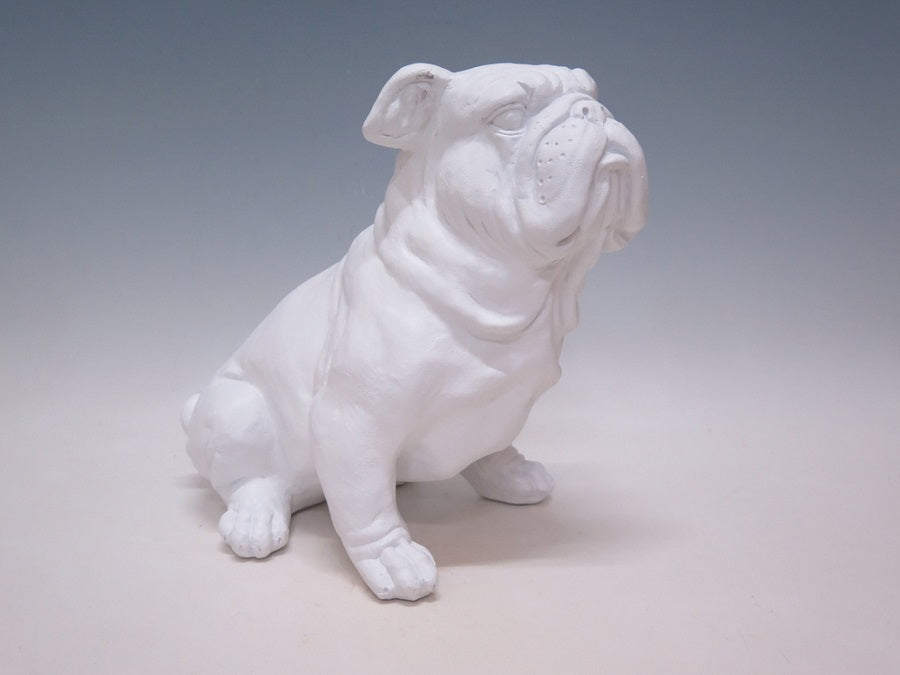 Bulldog hvit, 35