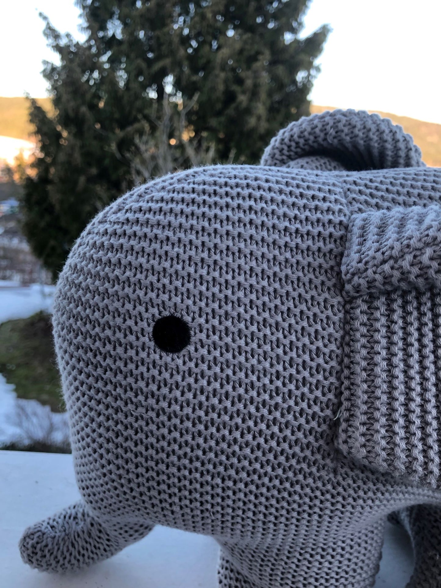 Elephant Kosedyr