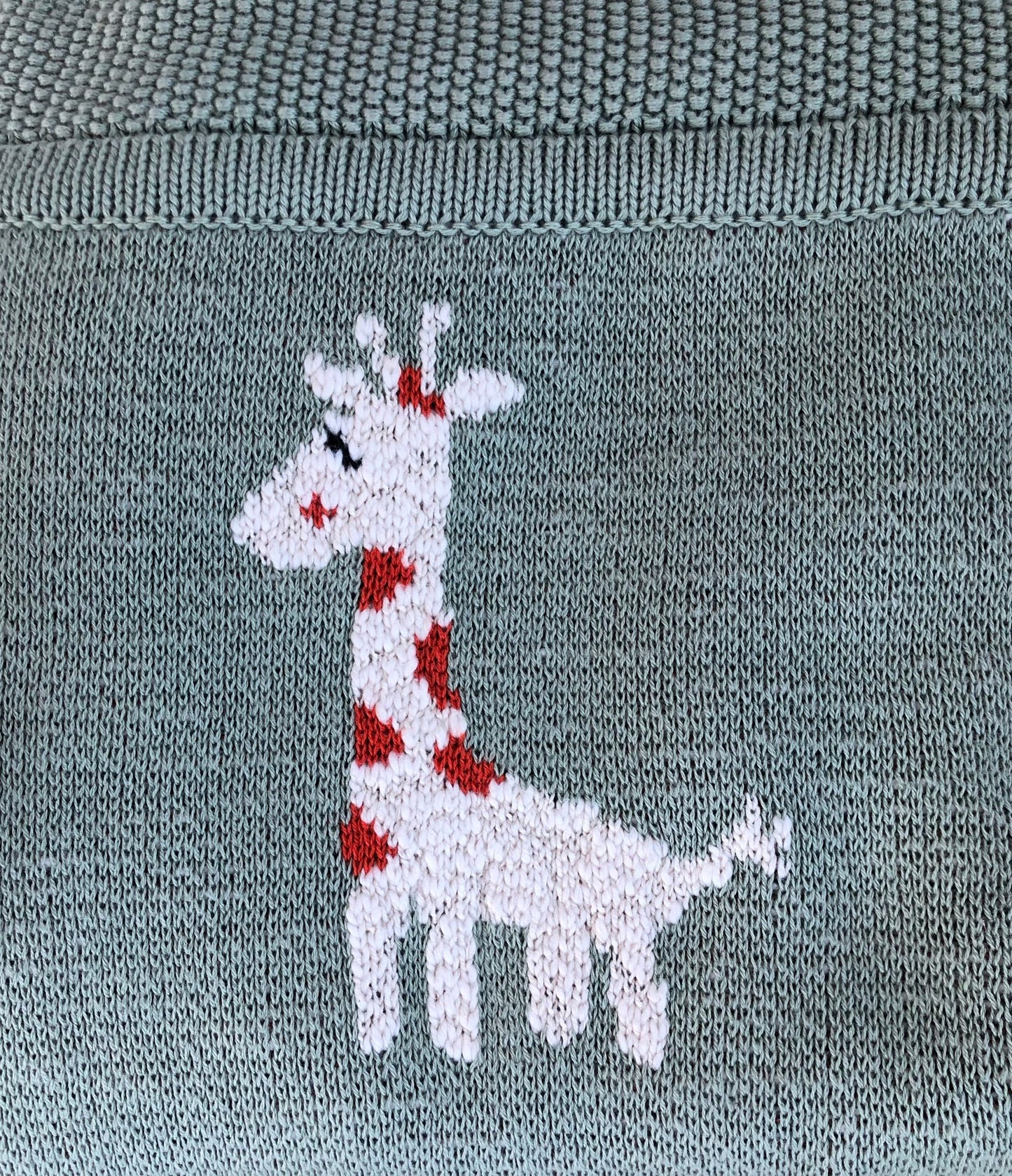 Giraffe junior