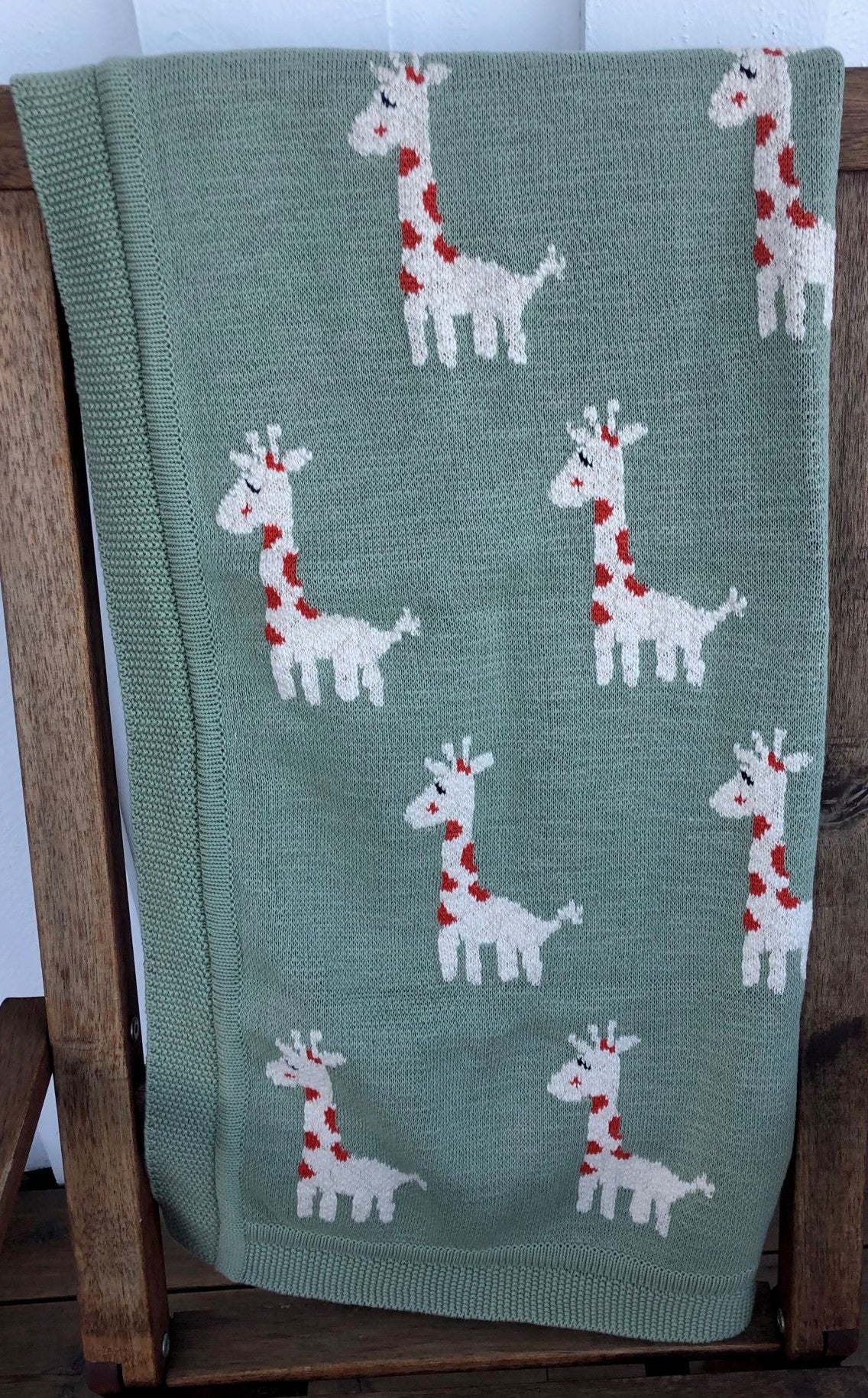Giraffe junior