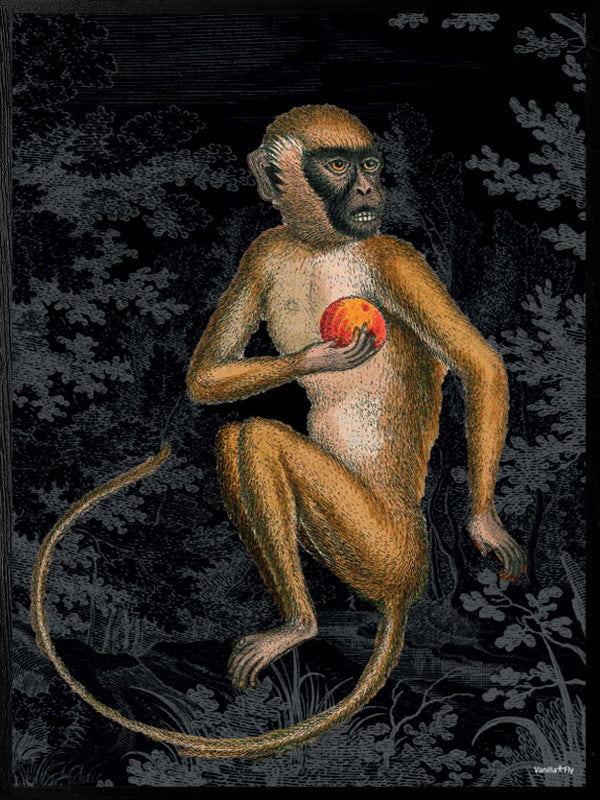 Plakat Monkey black