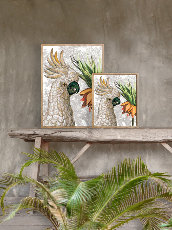 Plakat Frittilaria