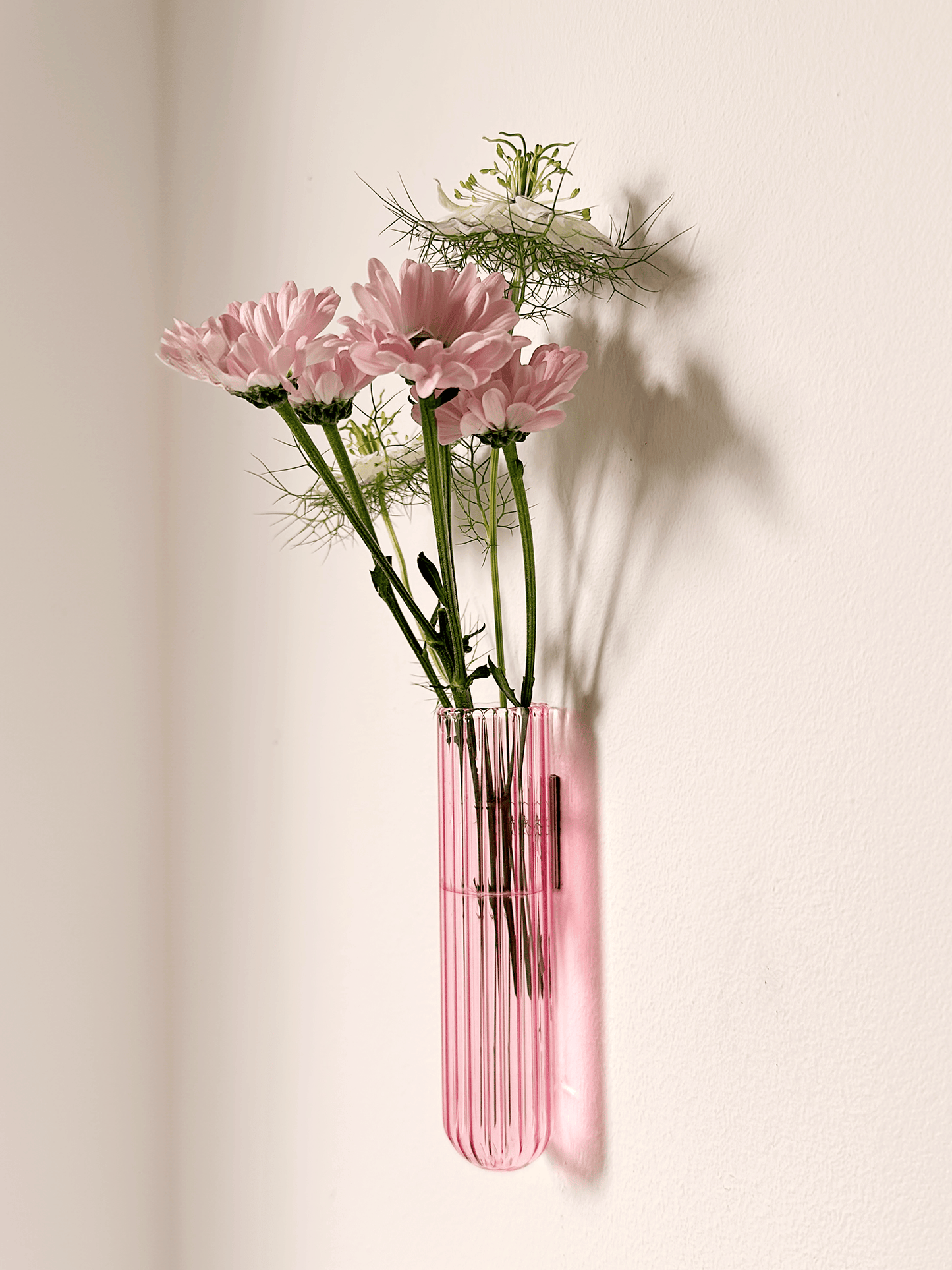 Walleaf XL 3-pack, Pink