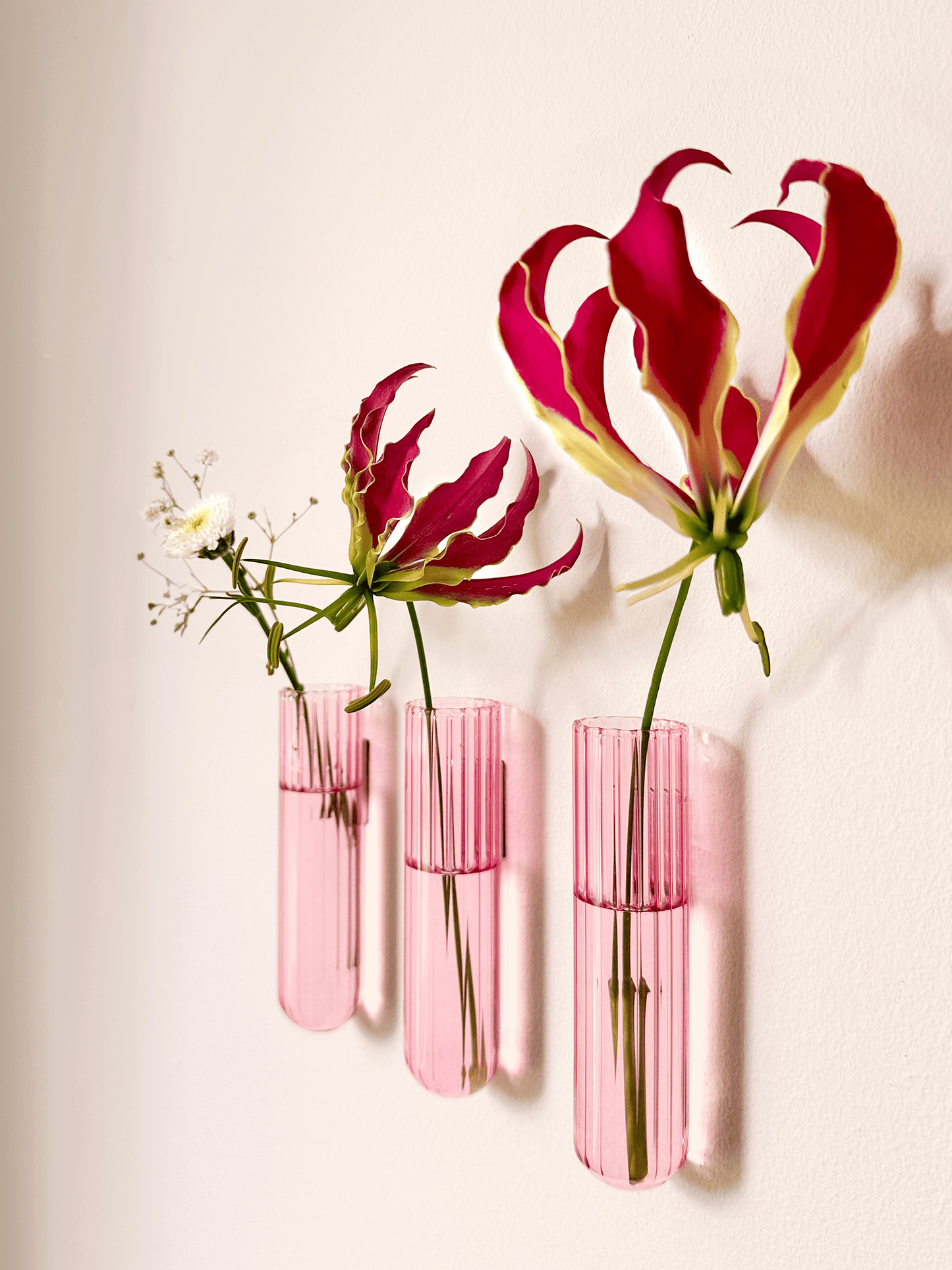 Walleaf XL 1-pack, Pink