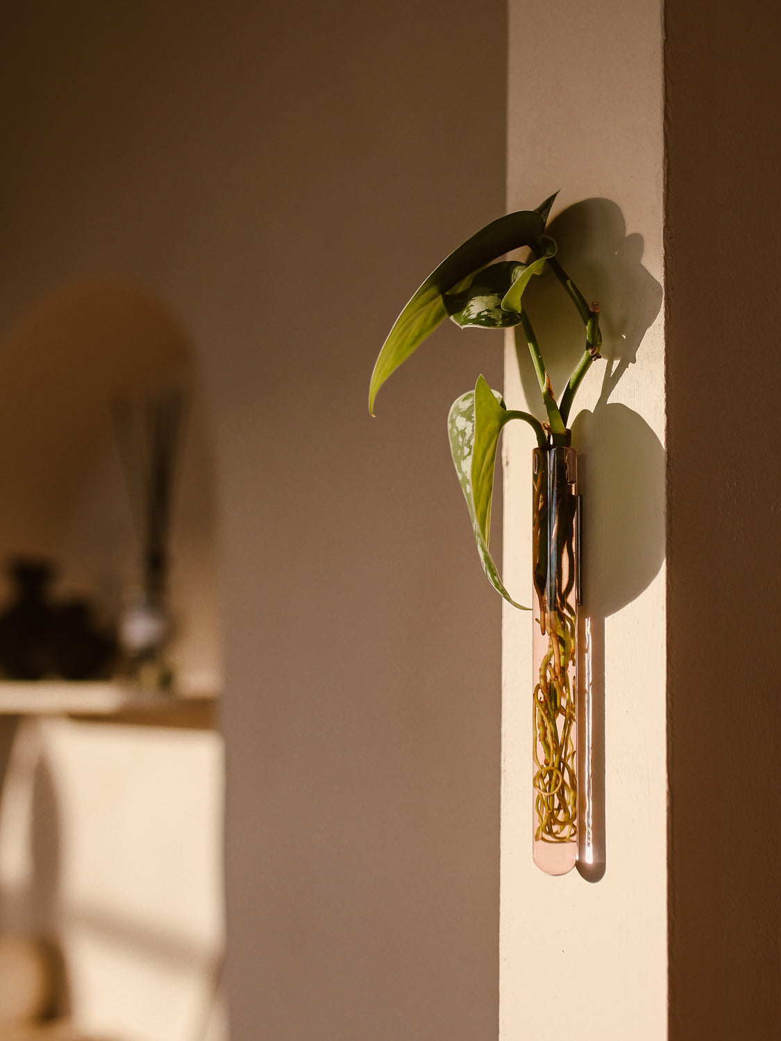 Walleaf 3-pack, Pink