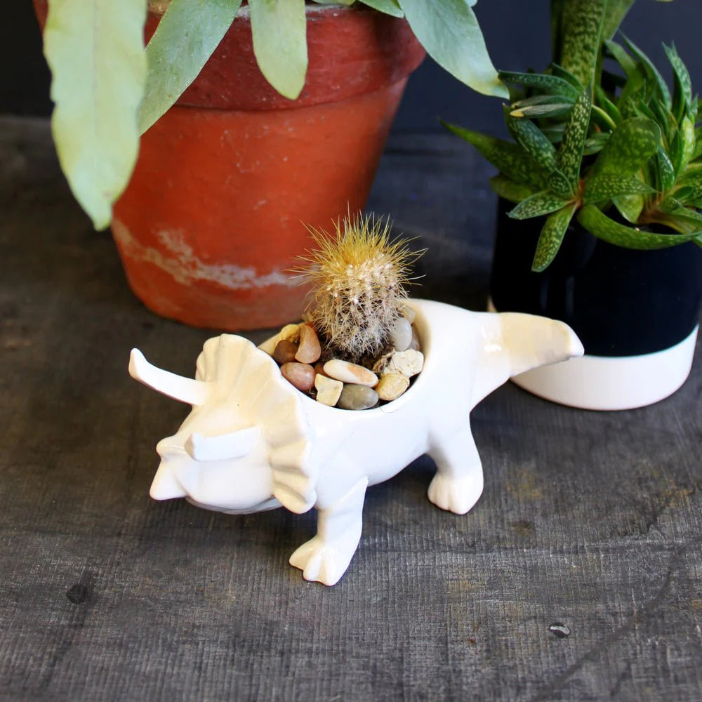 Eggekopp Origami Hvit