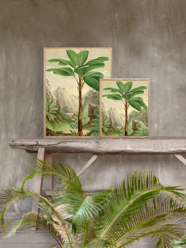 Plakat Jungle