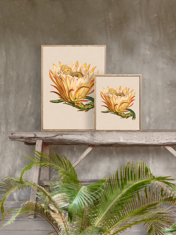 Plakat Lotus