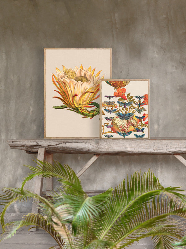 Plakat Lotus