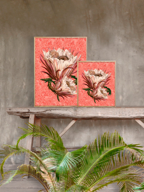 Plakat Rose Paisley