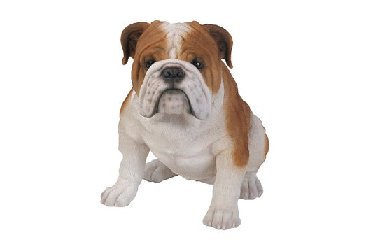 Bulldog resin 46x29x36