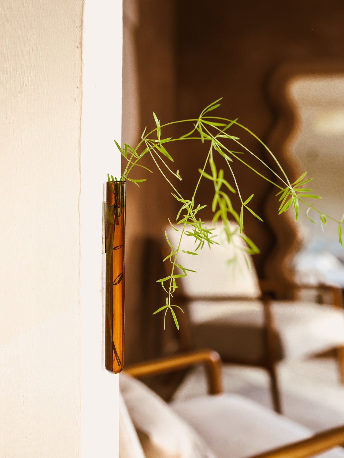 Walleaf 3-pack, Amber