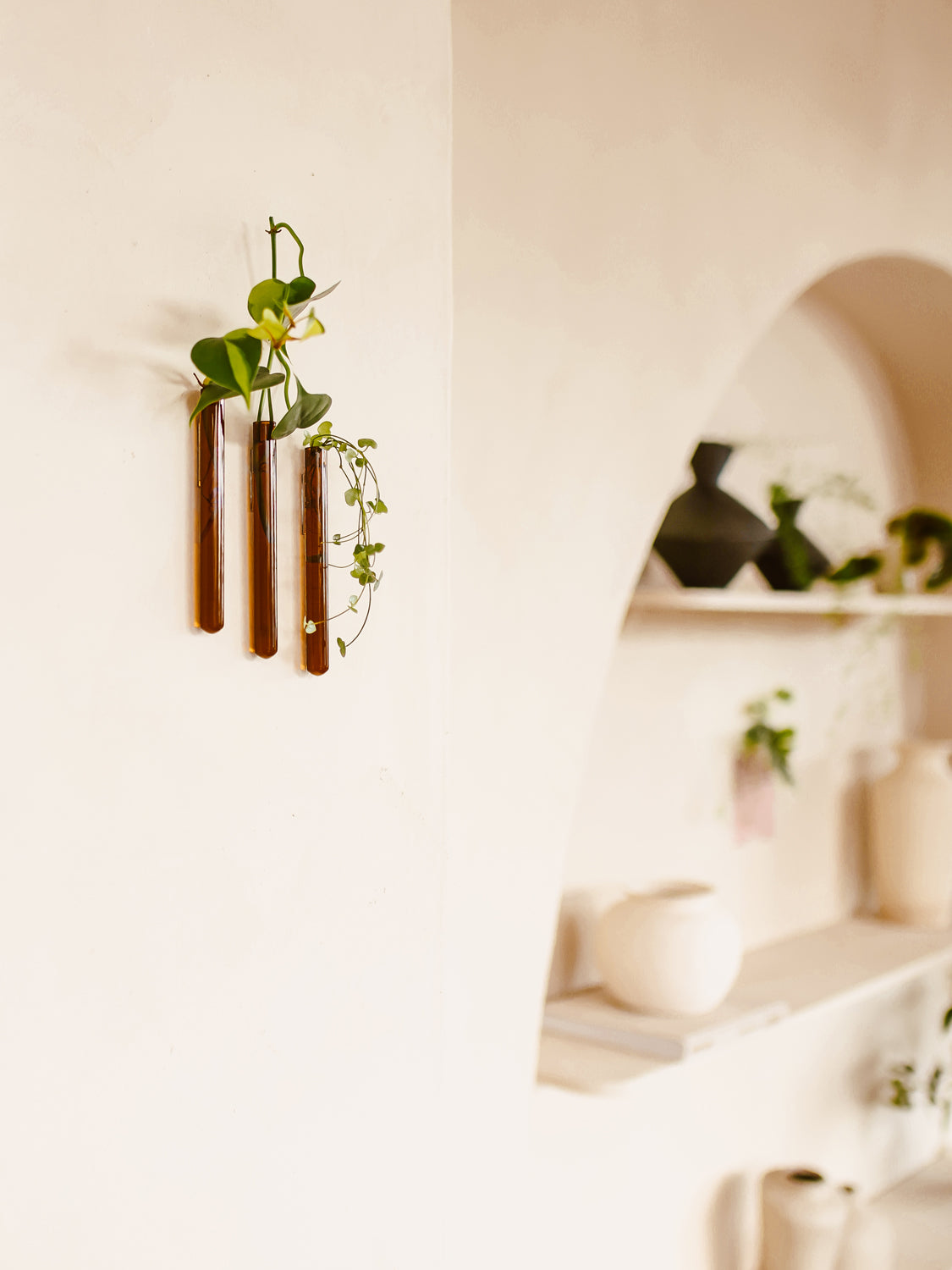 Walleaf 3-pack, Amber