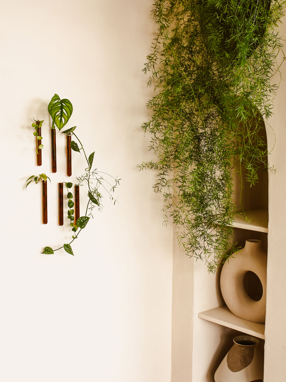 Walleaf 3-pack, Amber