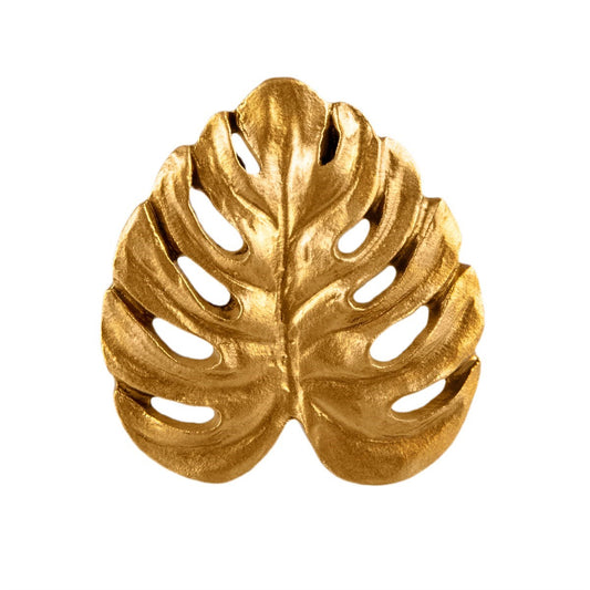 Knott Gold Cheese Plant Leaf