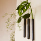 Walleaf 3-pack, Black