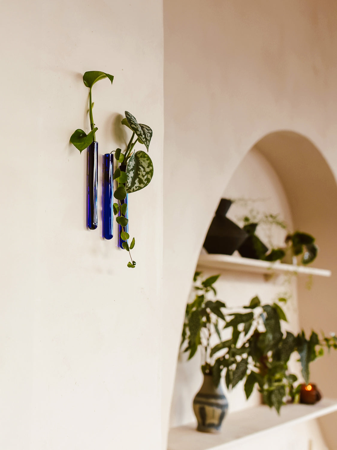 Walleaf 3-pack, Blue
