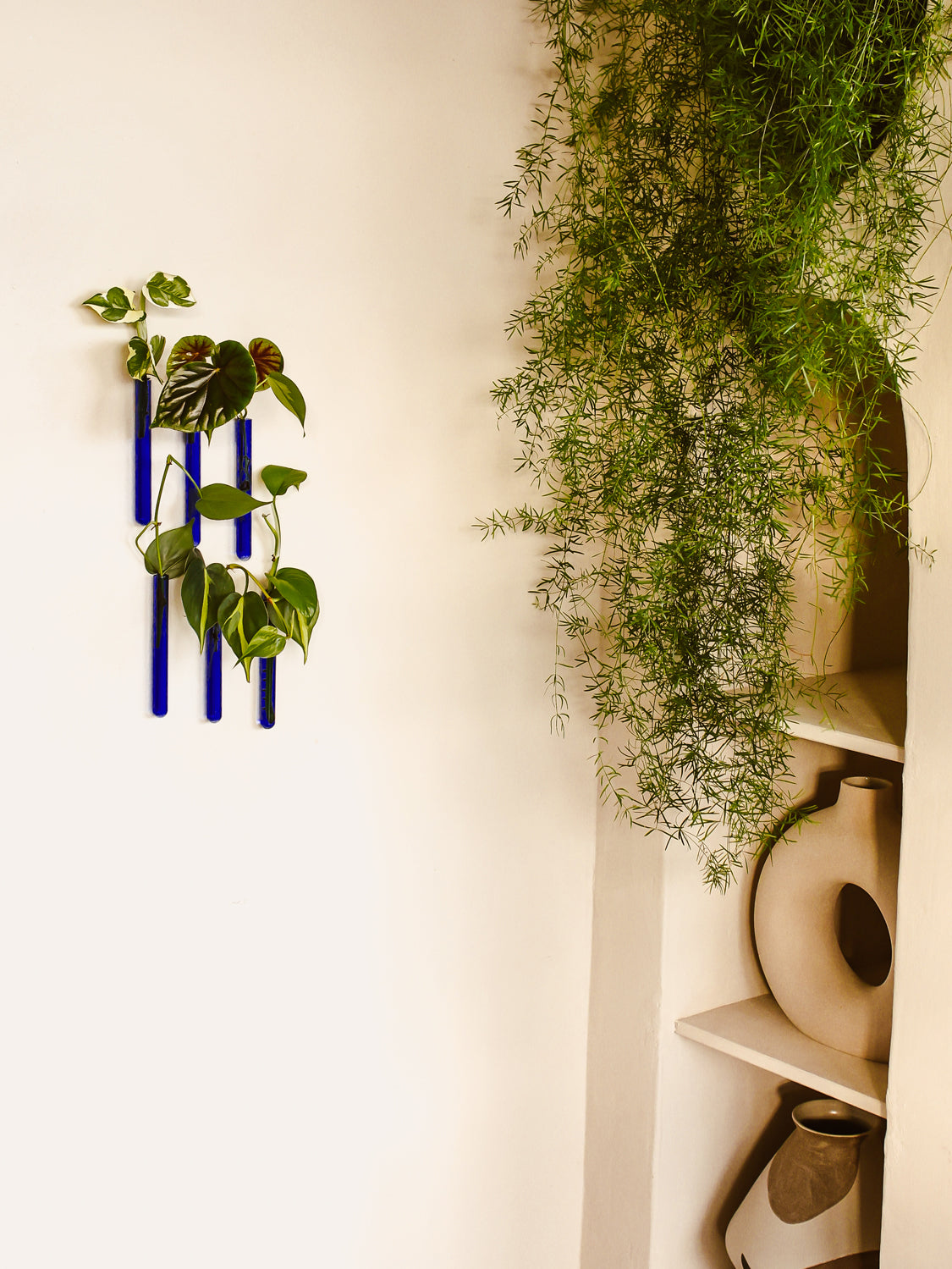 Walleaf 3-pack, Blue