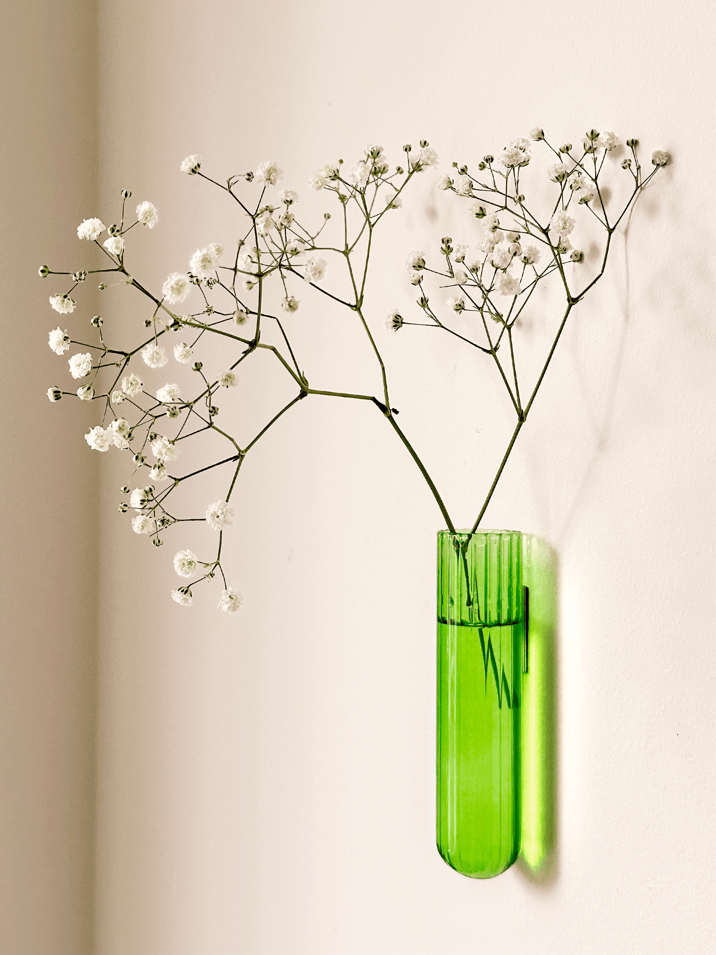 Walleaf XL 3-pack, Green