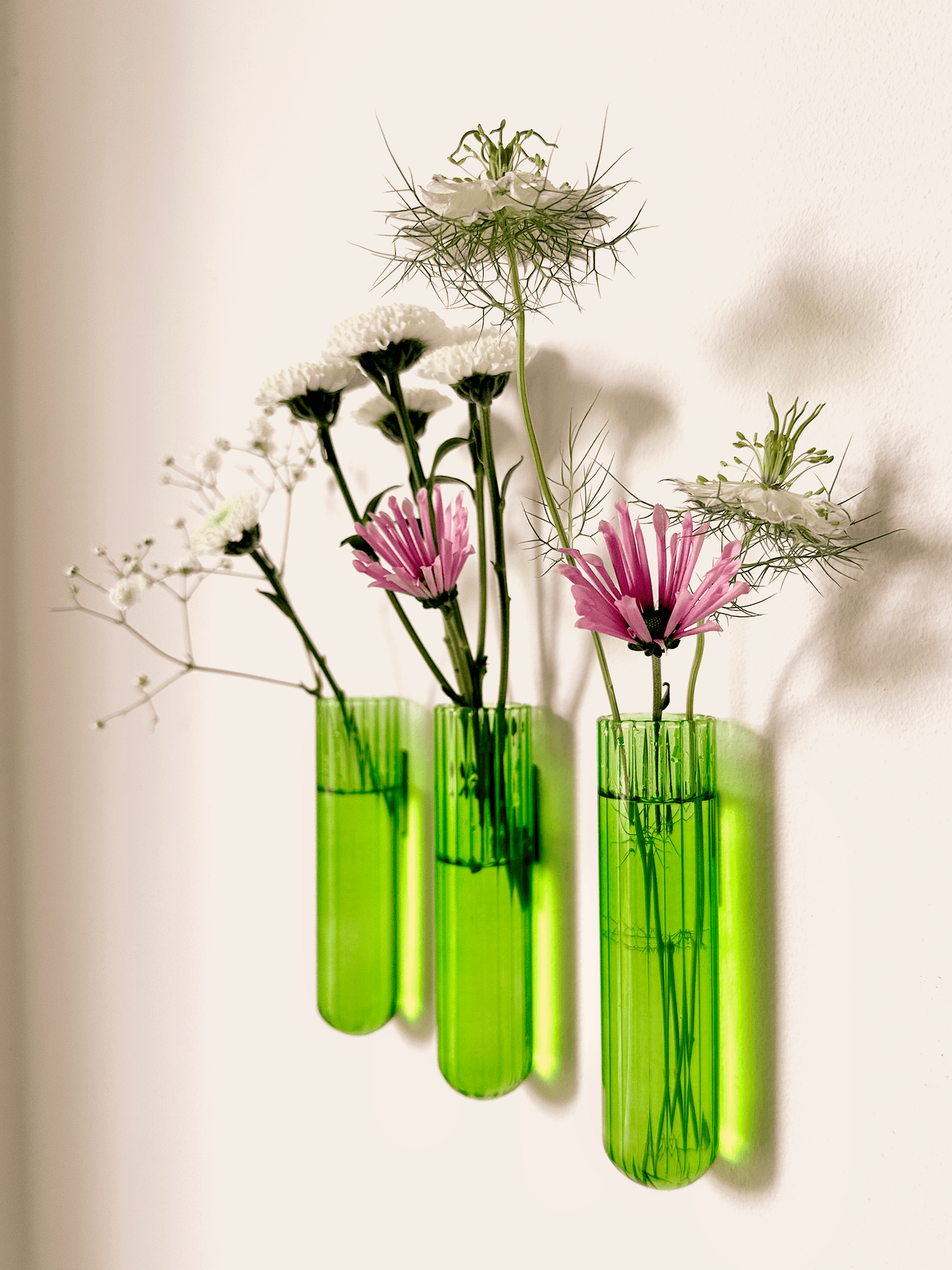 Walleaf XL 3-pack, Green