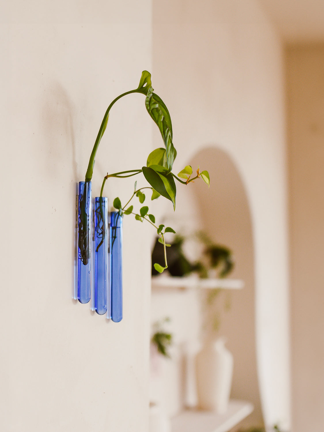 Walleaf 3-pack, Light Blue