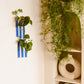 Walleaf 3-pack, Light Blue