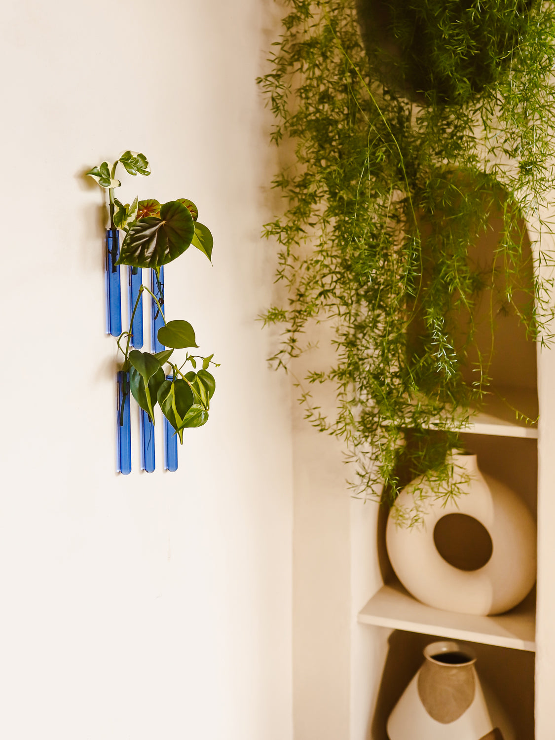 Walleaf 3-pack, Light Blue