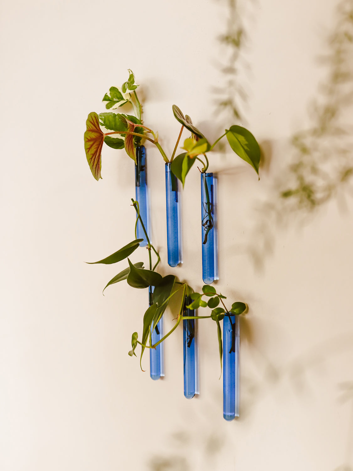 Walleaf 3-pack, Light Blue