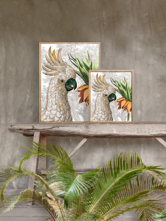 Plakat Frittilaria