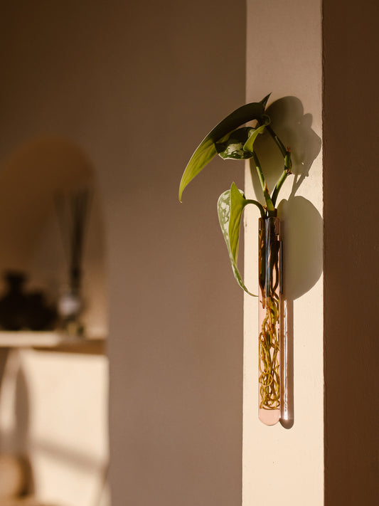 Walleaf 1-pack, Pink