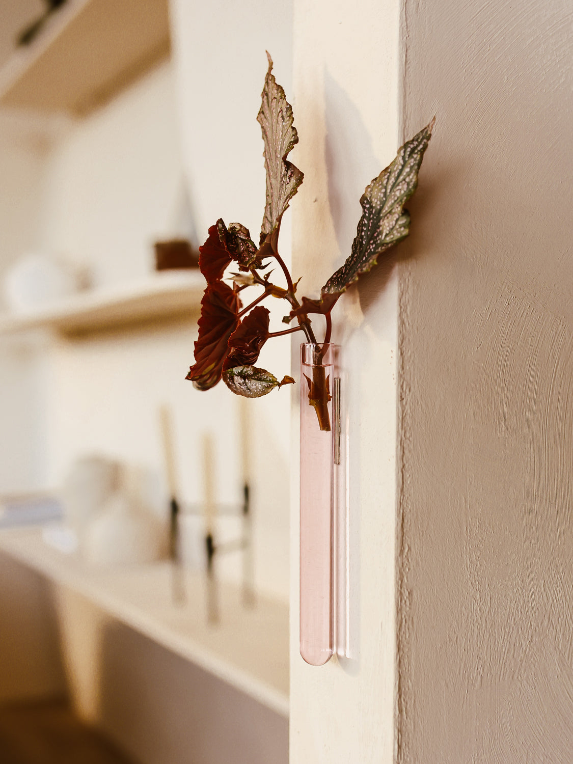 Walleaf 3-pack, Pink