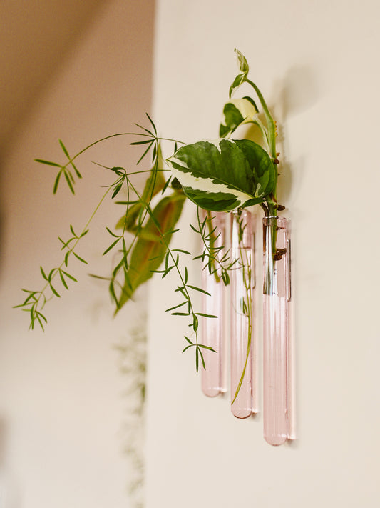 Walleaf 3-pack, Pink