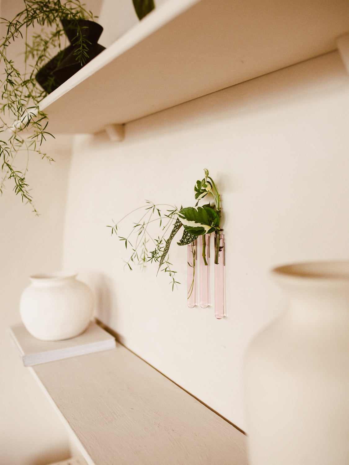 Walleaf 3-pack, Pink