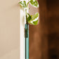 Walleaf 3-pack, Teal