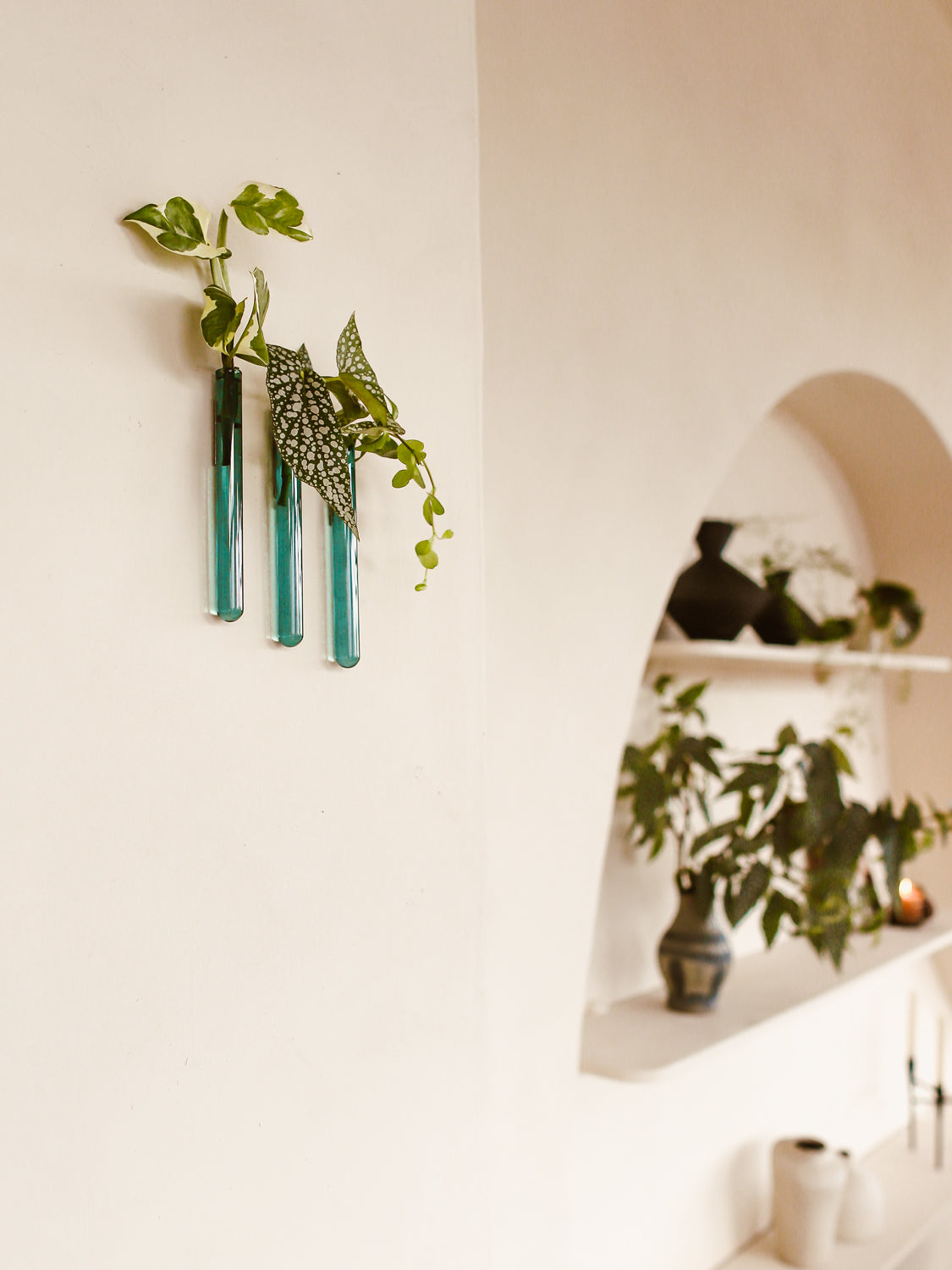 Walleaf 3-pack, Teal