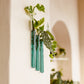 Walleaf 3-pack, Teal