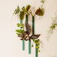 Walleaf 3-pack, Teal