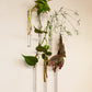 Walleaf 6-pack, Transparent