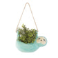Potte Hanging Seymour Sloth