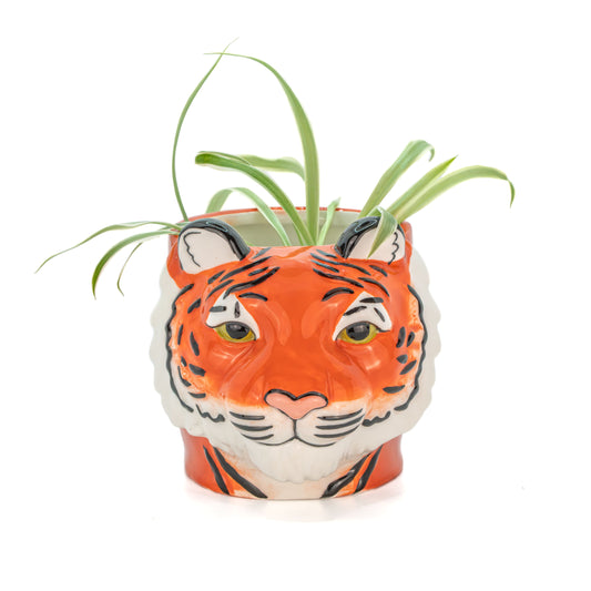 Potte Tiger