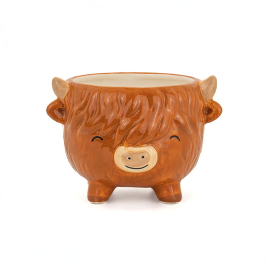 Potte Highland Cow