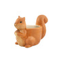 Potte Squirrel