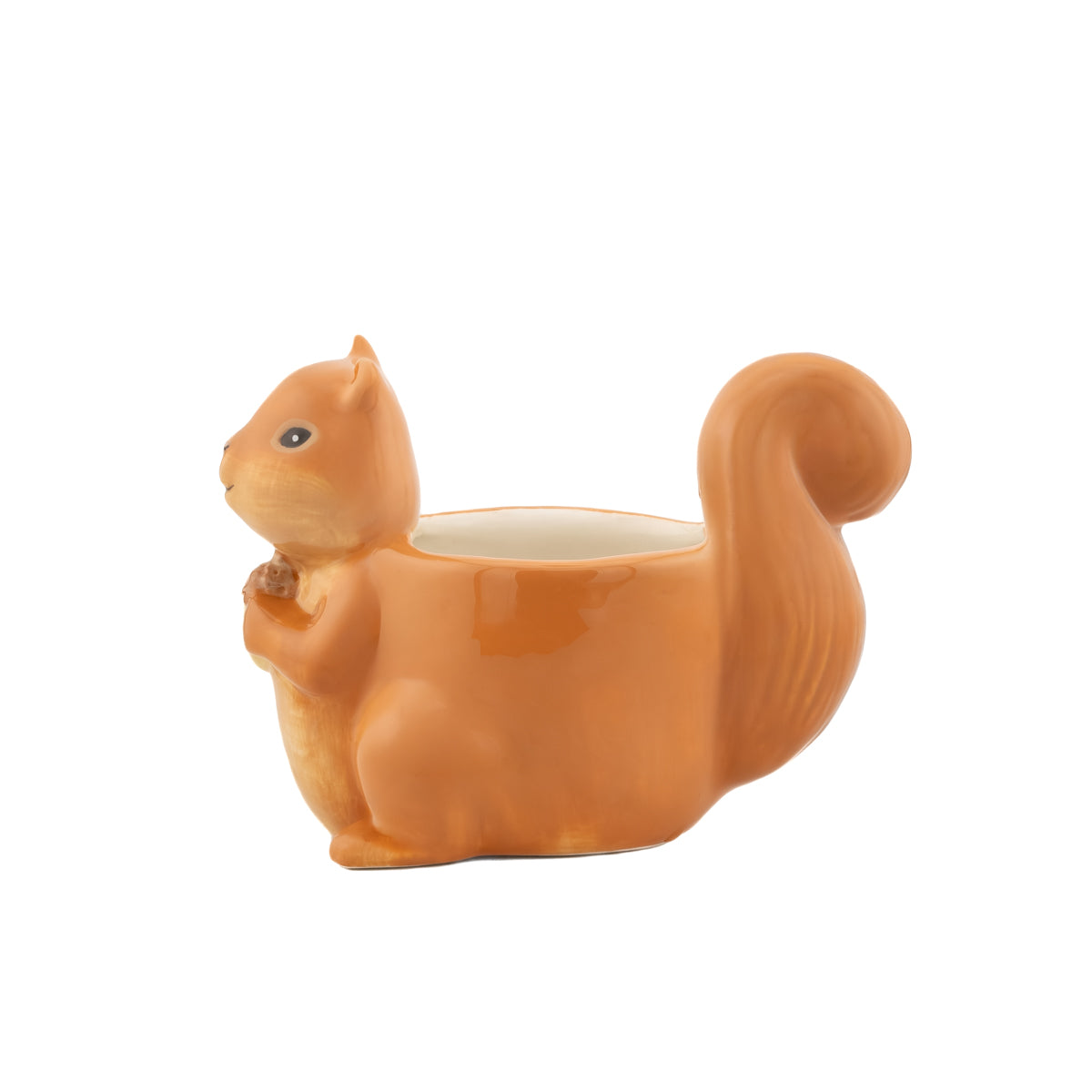 Potte Squirrel